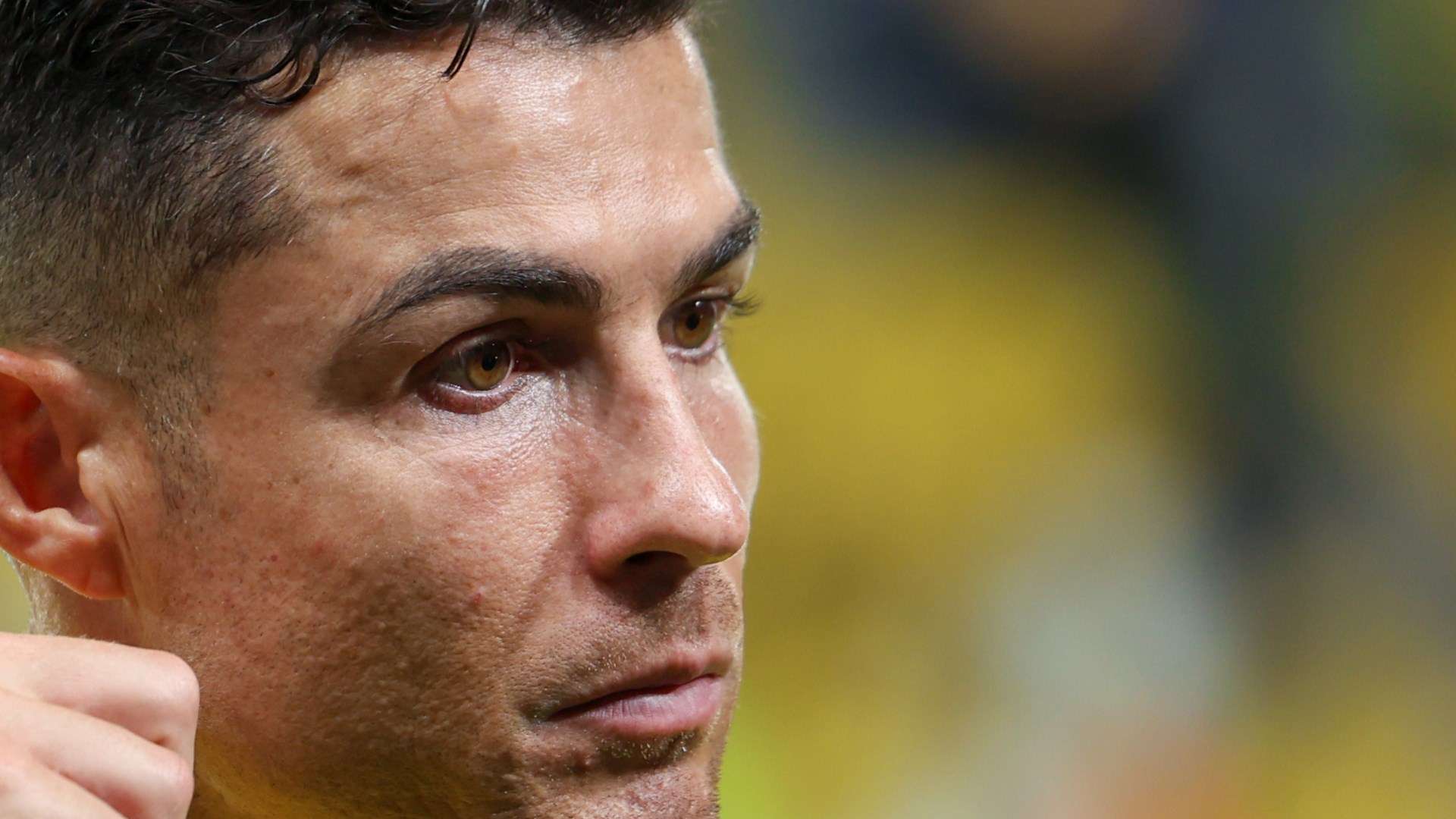 并不单一 并不单一